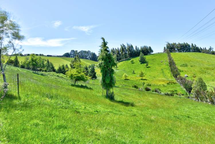 21 Willow Lane Gore_38