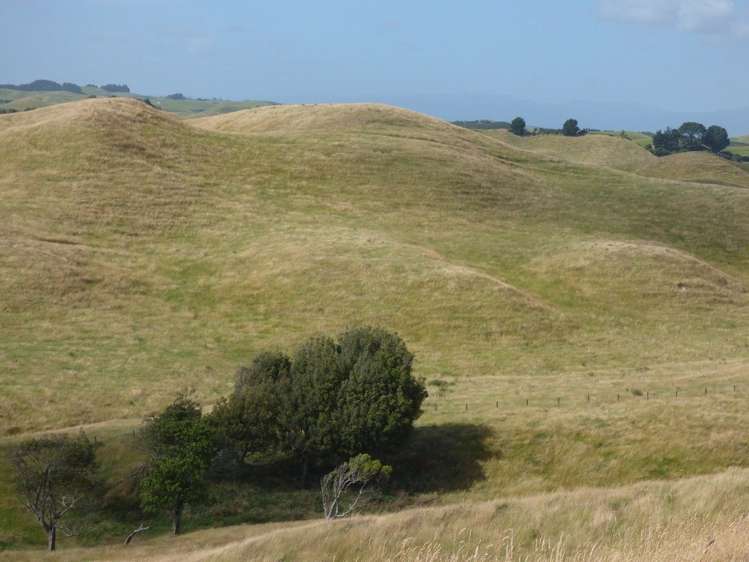 729 Midland Road Bunnythorpe_10