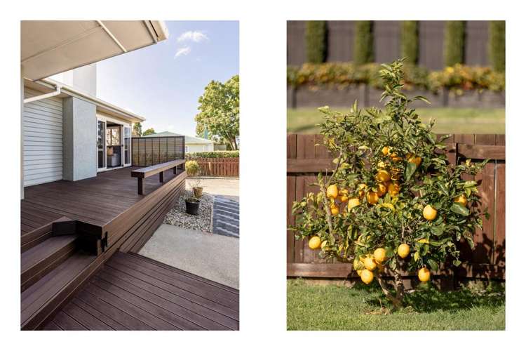 15 Dunlop Road Te Puke_16
