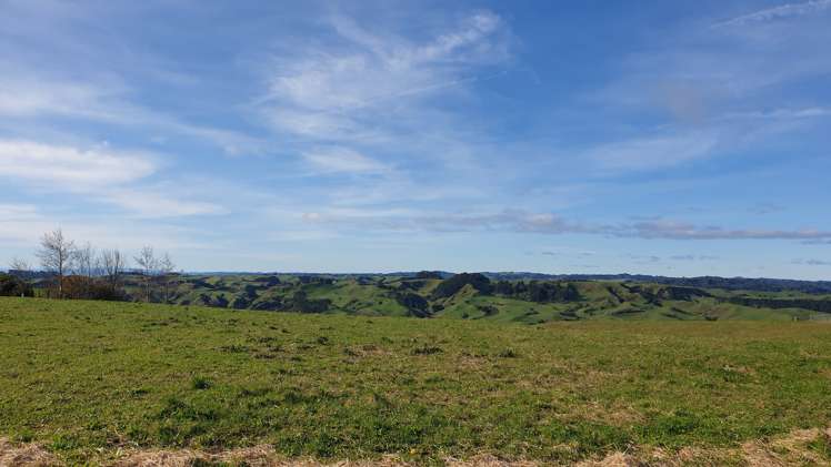 352 Rimutauteka Road Inglewood_5