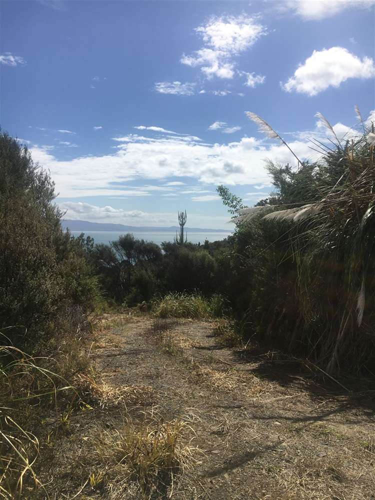 45 Otuturu Crescent Thames_8