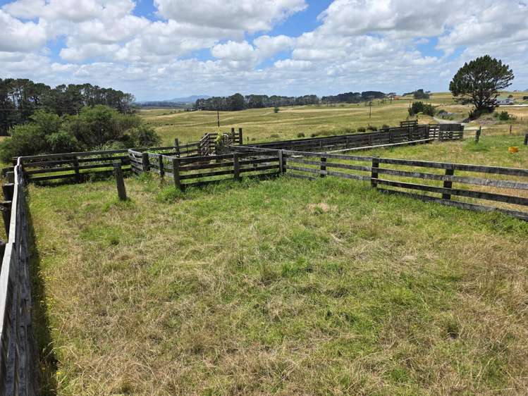 Mount Wesley Coast Road Dargaville_5
