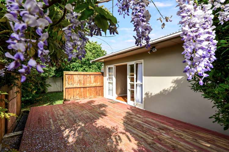 145 Hukanui Road Chartwell_16