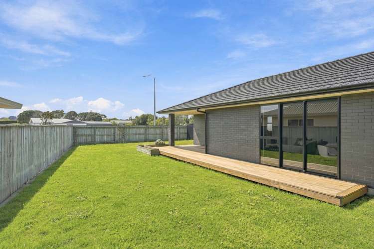 9 Morrell Street Tawhero_18
