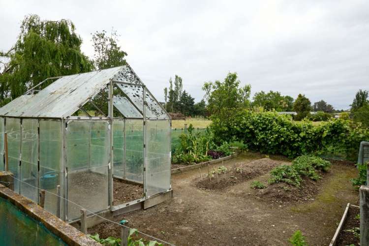 1199 Parnassus Road Cheviot_34