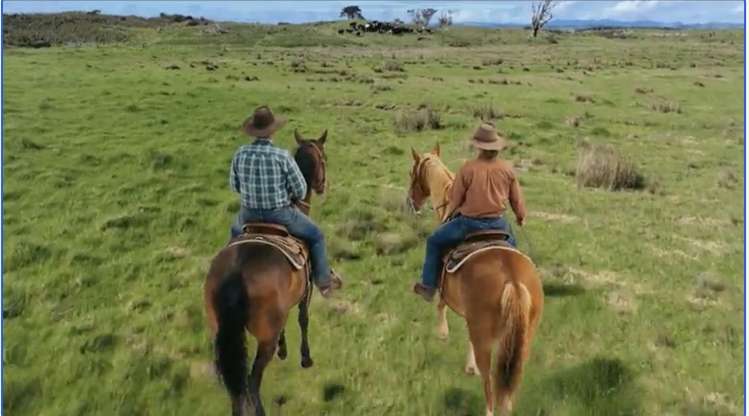 lot 3/612 Inland Road Tokerau Beach_6