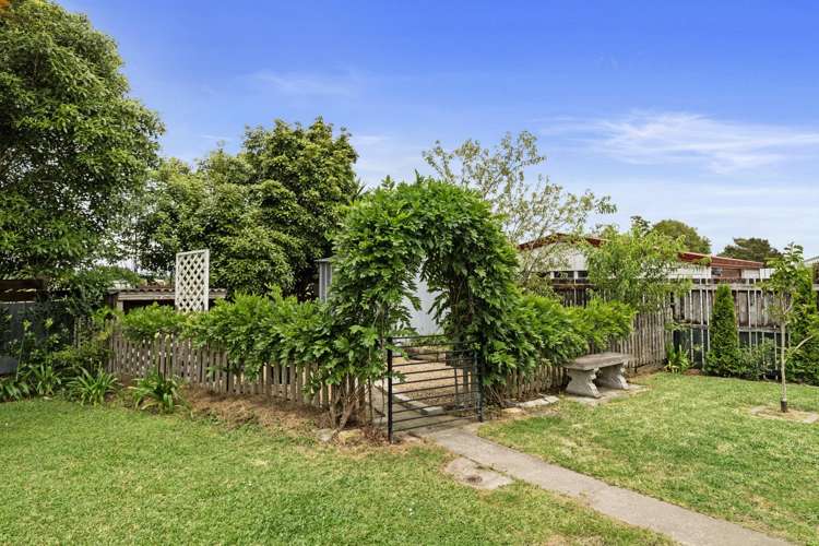 6 Cynthia Crescent Te Aroha_13