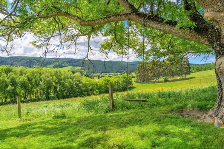 3 Annan Street Lawrence_14