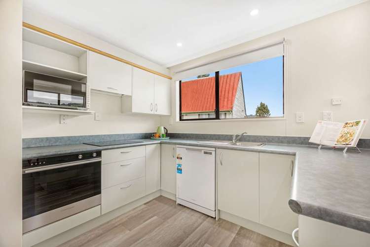 142 Holborn Drive Stokes Valley_5