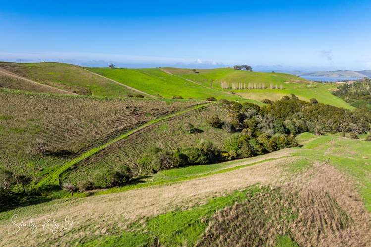 Massey Road Maungaturoto_17