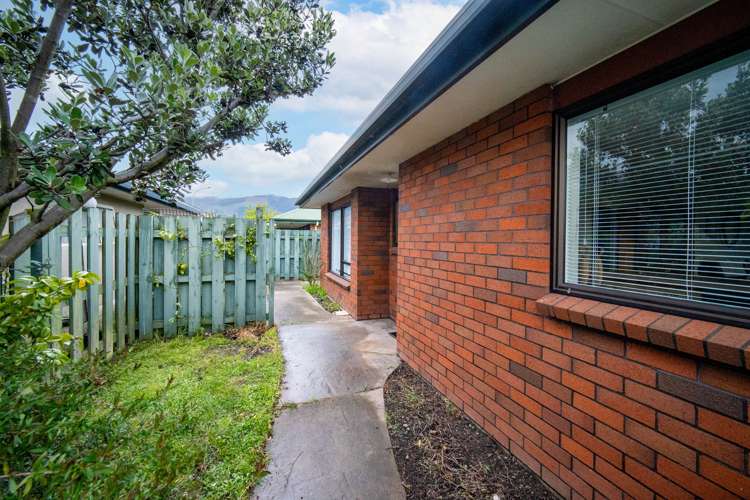 371 Nayland Road Stoke_2