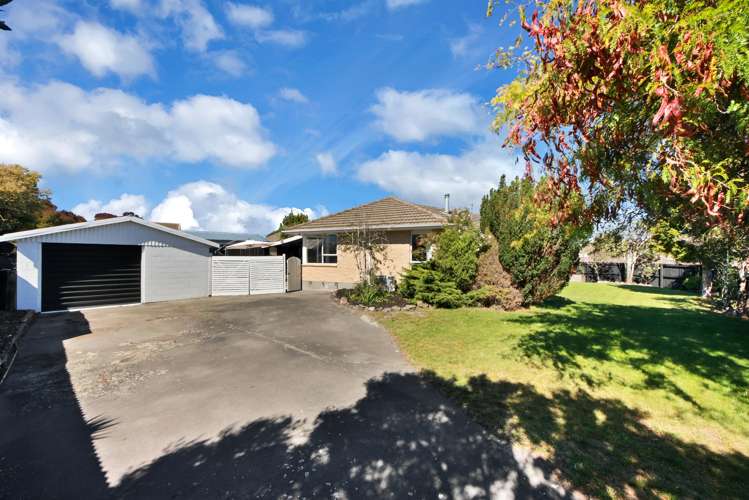 44 Cottonwood Street_0