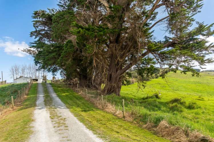 70 Biddle Road Wellsford_23
