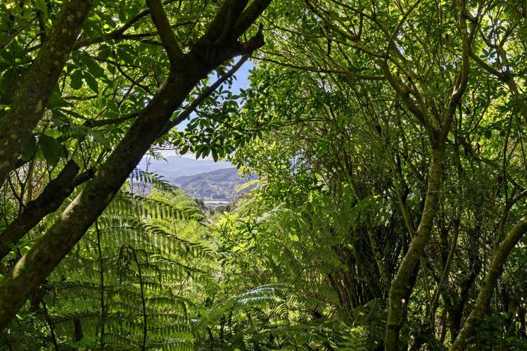 3 Owaka Close Kelson_20