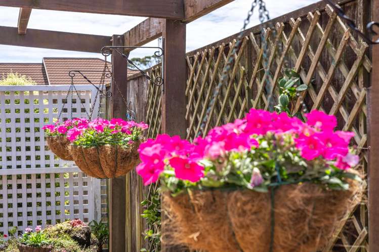 66 Cedar Drive Paraparaumu Beach_7