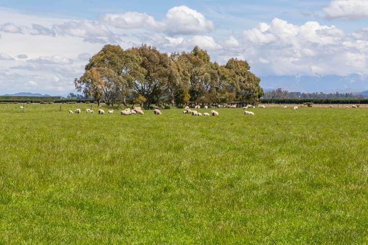 526 Auchenflower Road Darfield_25