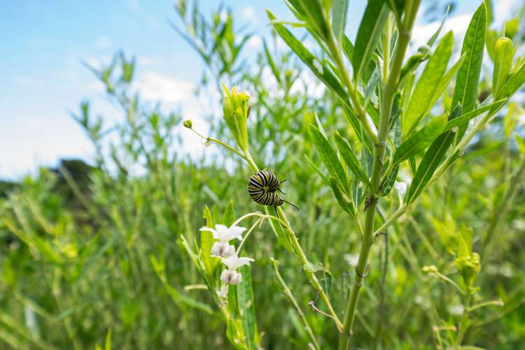 54 Huia Street Waikanae_26
