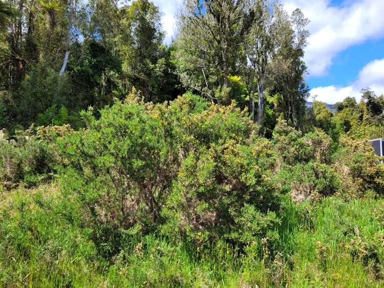 10 Alymer Place Franz Josef Glacier_5