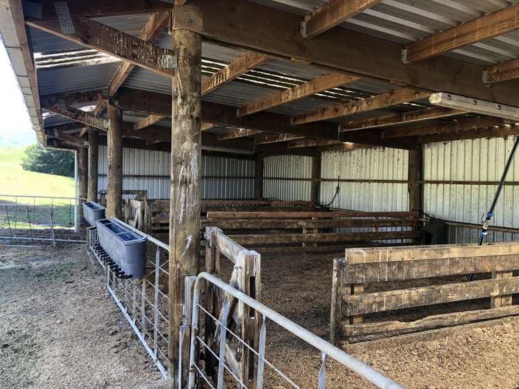 1026 Limeworks Loop Road Karamu_7