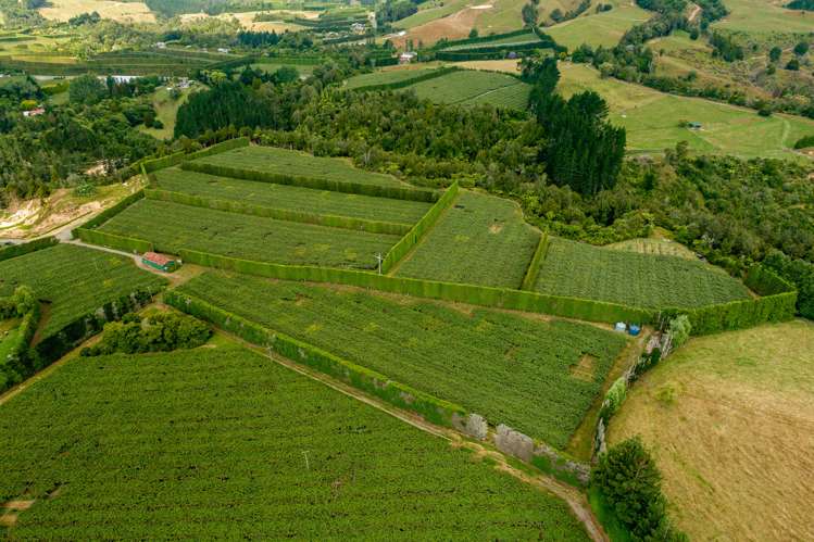 1335b No 3 Road Te Puke_13