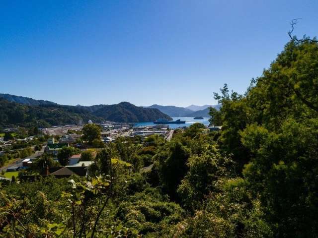 8 Scotland Street Picton_1