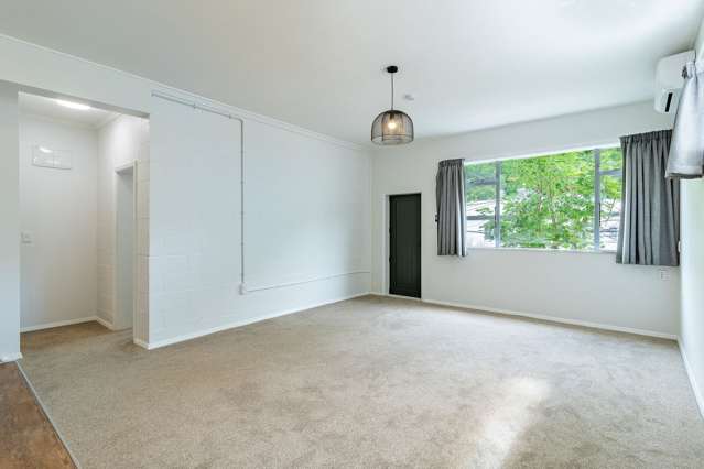 30A Adams Terrace Aro Valley_3