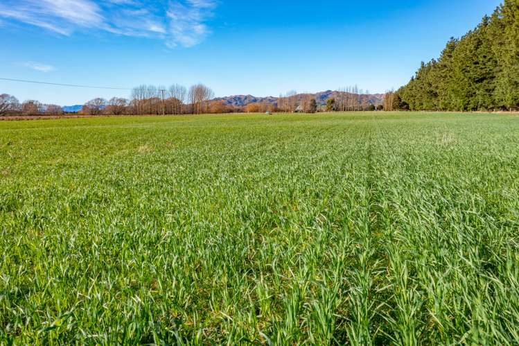 Gilberts Road Waikari_5