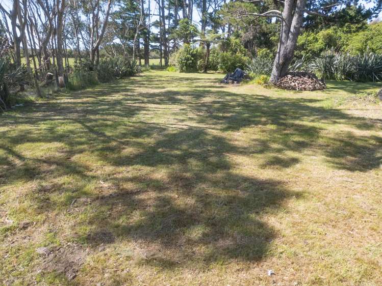 Pandora Avenue Camerons_24