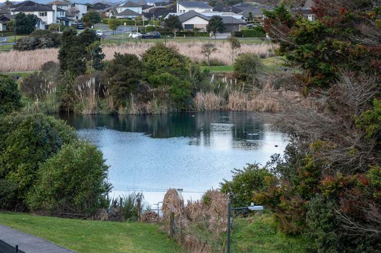 6 Acqua Place Karaka_45