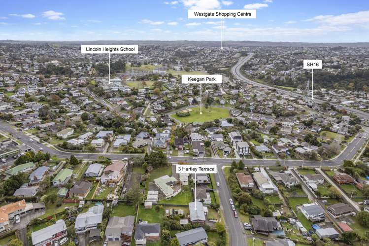 3 Hartley Terrace Massey_16