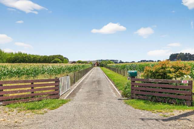 229 Richardsons Line Milson_1