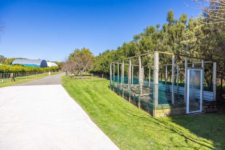 7 Ngahuia Place Te Awamutu_27