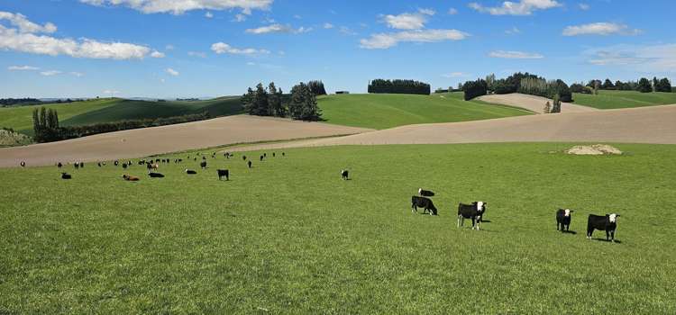 406 Byars Road Chatton North_14