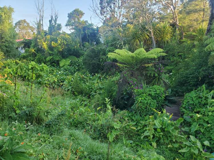 36 Evans Road Glen Eden_12