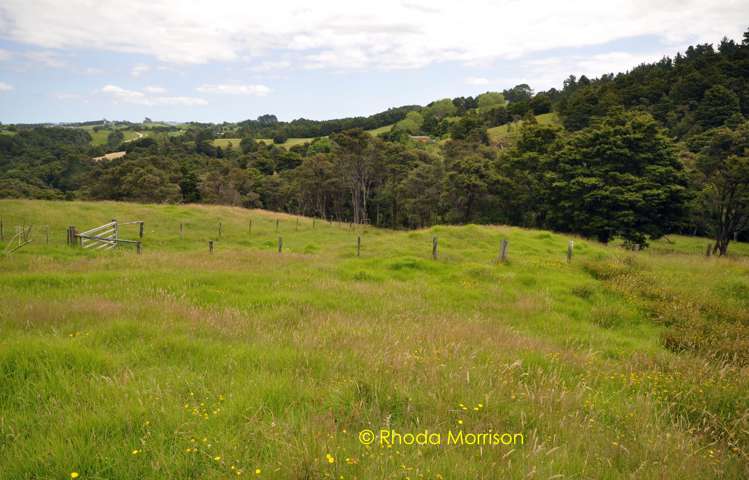 318 Franklin Road Paparoa_68
