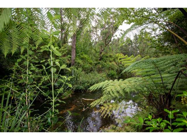 39b Shirley Road Kerikeri Surrounds_2