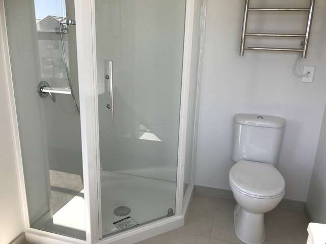 41 Treestump Road Takanini_4