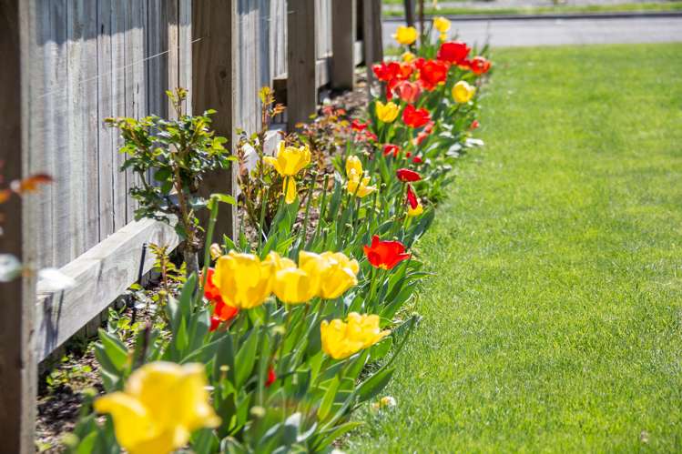 5 Craigmillar Street Solway_20