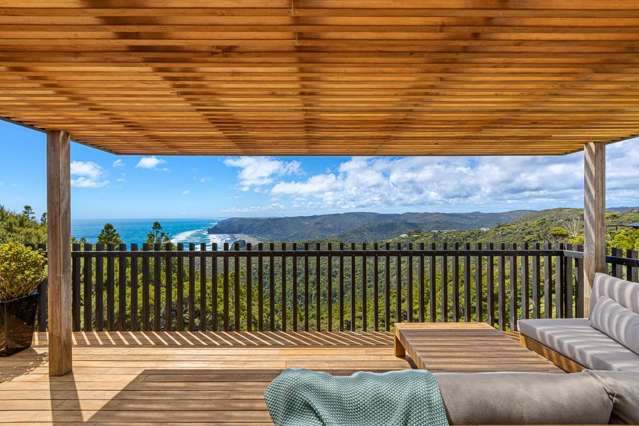 23 Log Race Road Piha_4