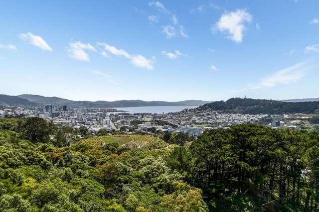 17 Asquith Terrace Brooklyn_4