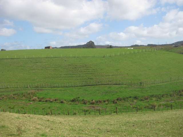 174 Morrison Road Pukekawa_1