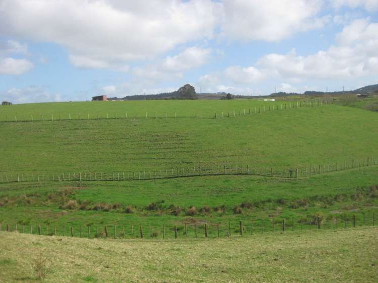 174 Morrison Road Pukekawa_1