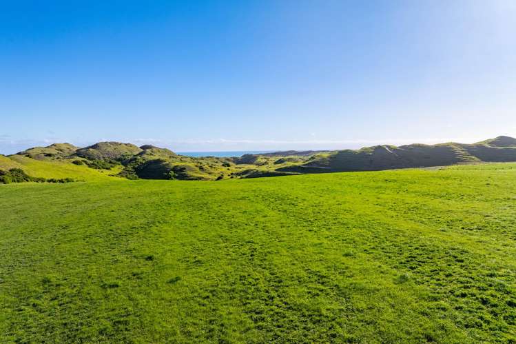 Lot 6 Mahuta Road Dargaville_11