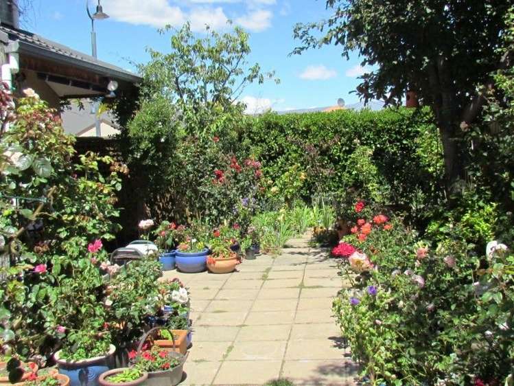 3 Fenwick Crescent Cromwell_8