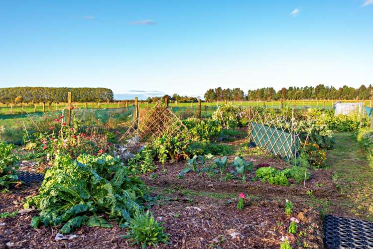 135 Military Road Otakiri_18