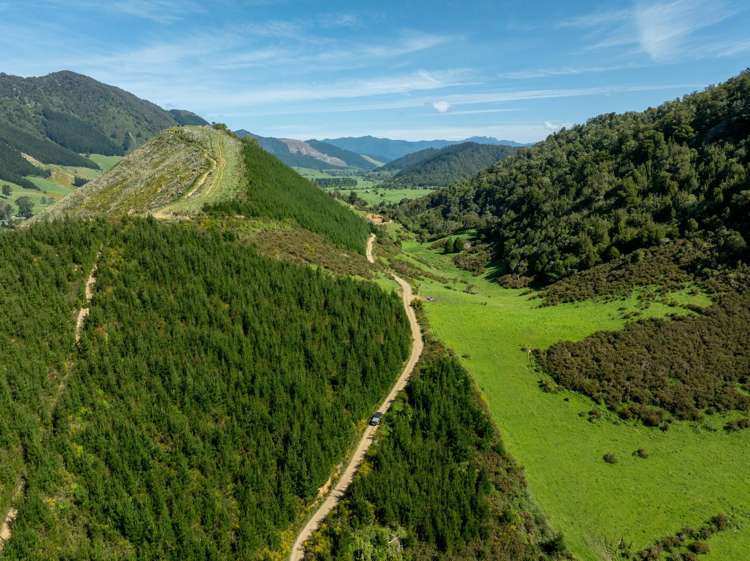 537 Ronga Road Rai Valley_11