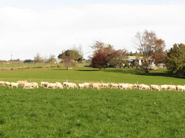 59 Woodlands Morton Mains Road Woodlands_0