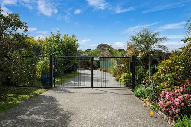 17A McClintock Street Whau Valley_1