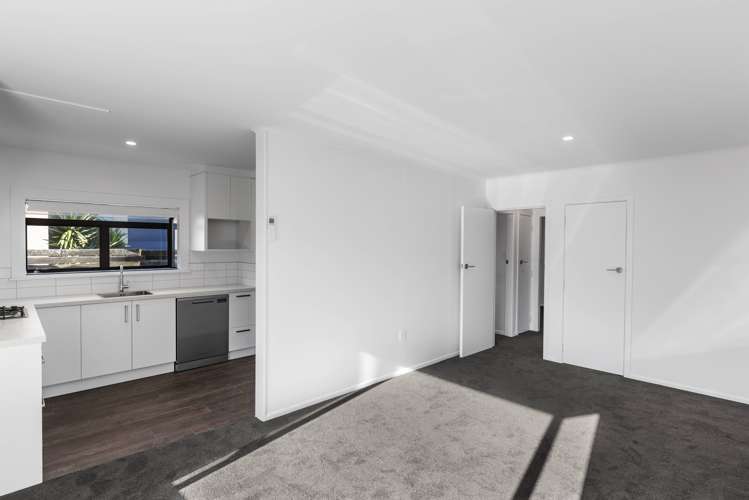 22a, b & c Terrace Avenue Mount Maunganui_27