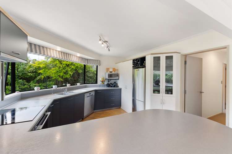 87 Macarthur Street Levin_12